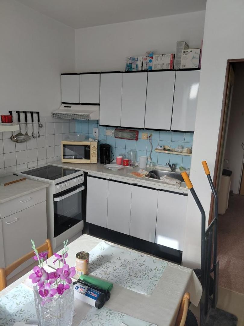 Pronájem byt 1+1 - Kaštanová, Sušice II, 42 m² - 2