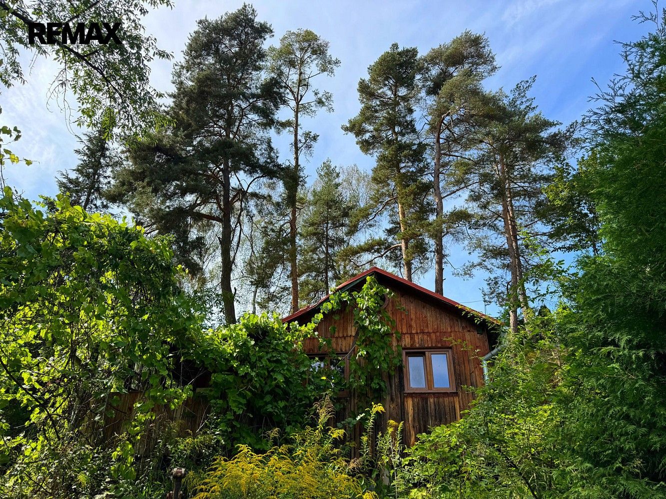 Prodej chalupa - Kestřany - Zátaví, okres Písek, Jihočeský kraj, 48 m² - 5