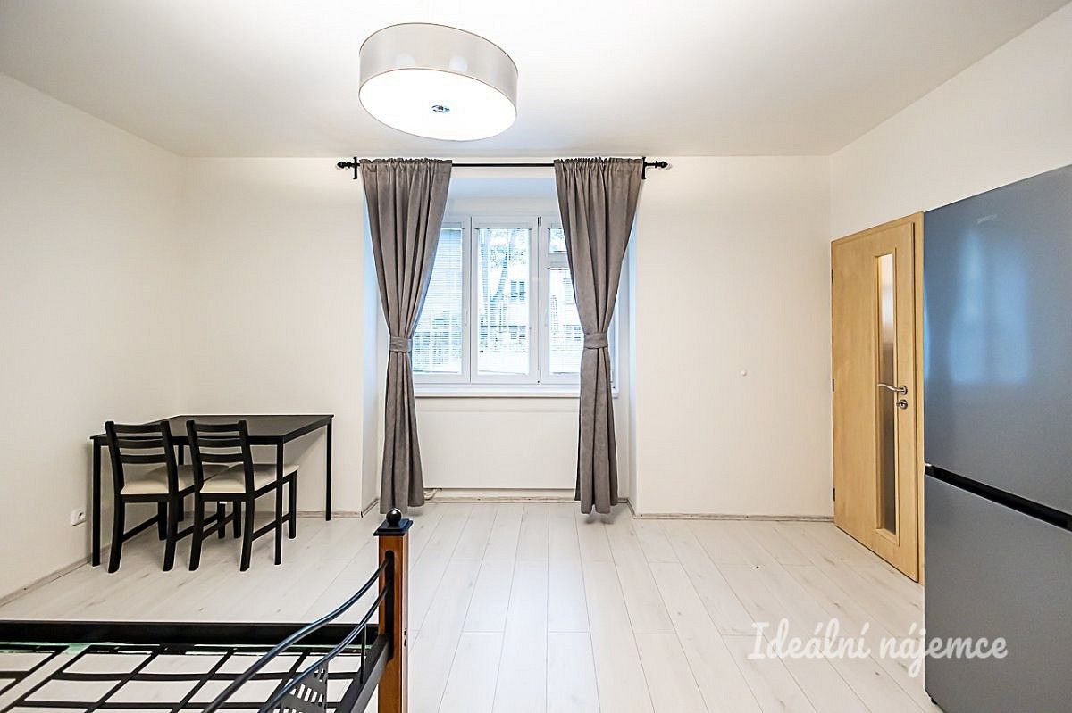 1+kk, Praha - Žižkov, okres Praha 3, Hlavní město Praha, 27 m² - 1