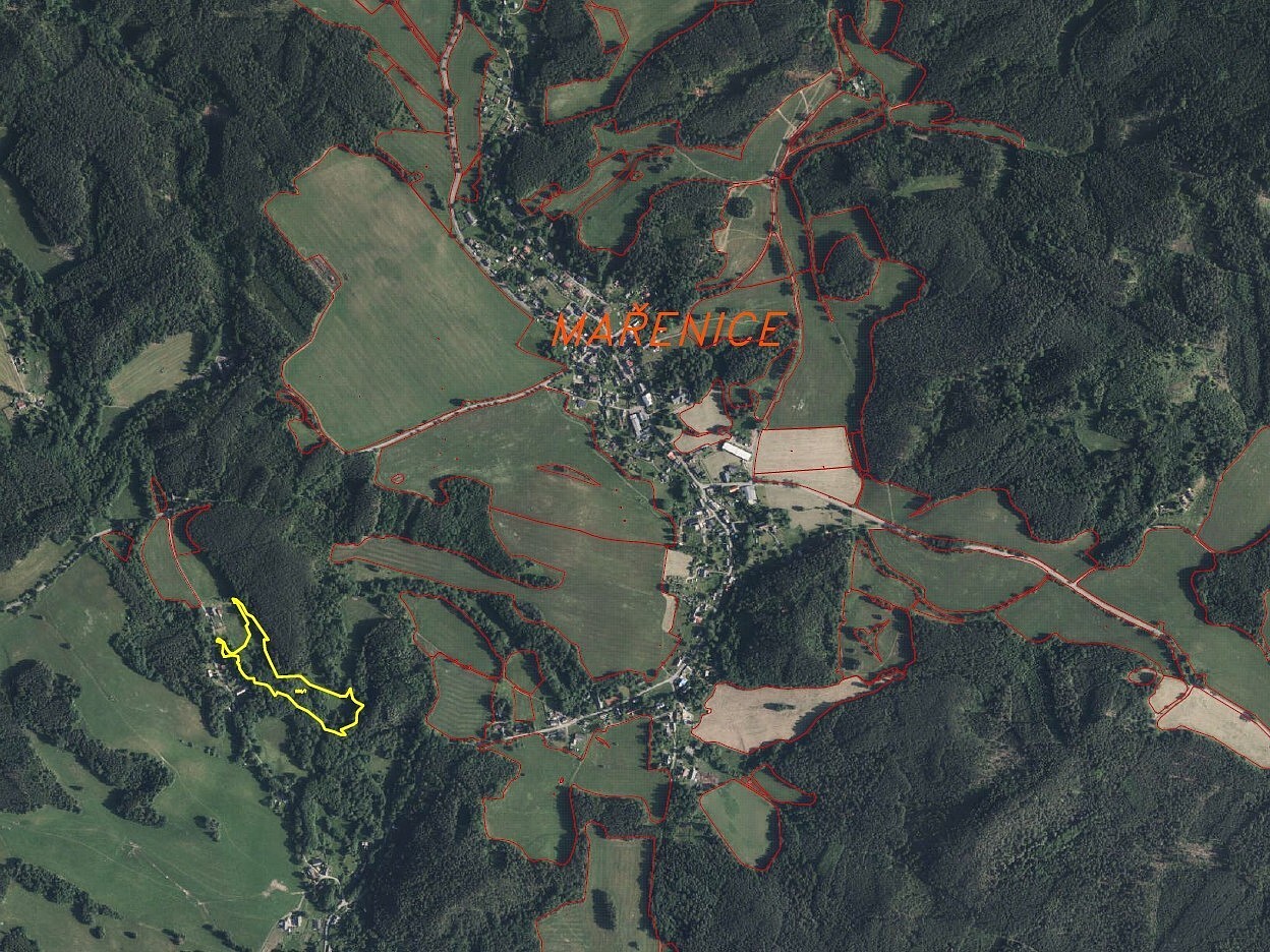 Prodej louka - Mařenice - 5