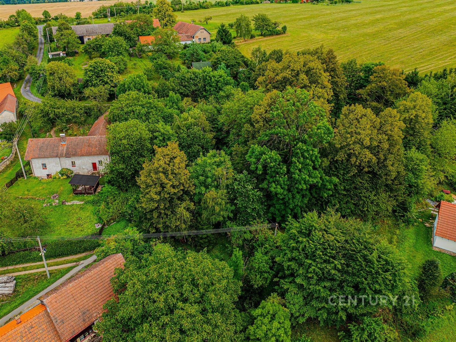 Prodej rodinný dům - Košťany, Vilémov, 106 m²