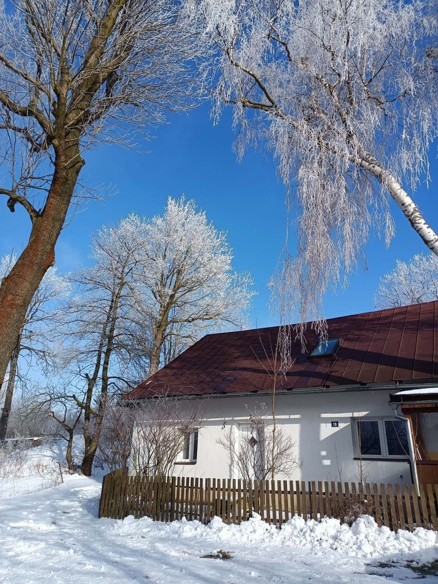 Chata · Červená Voda, Pardubický kraj - 3