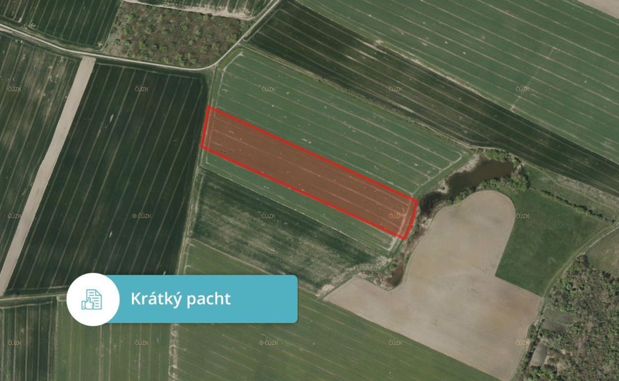 Zemědělské pozemky, Sviny, 36 499 m²