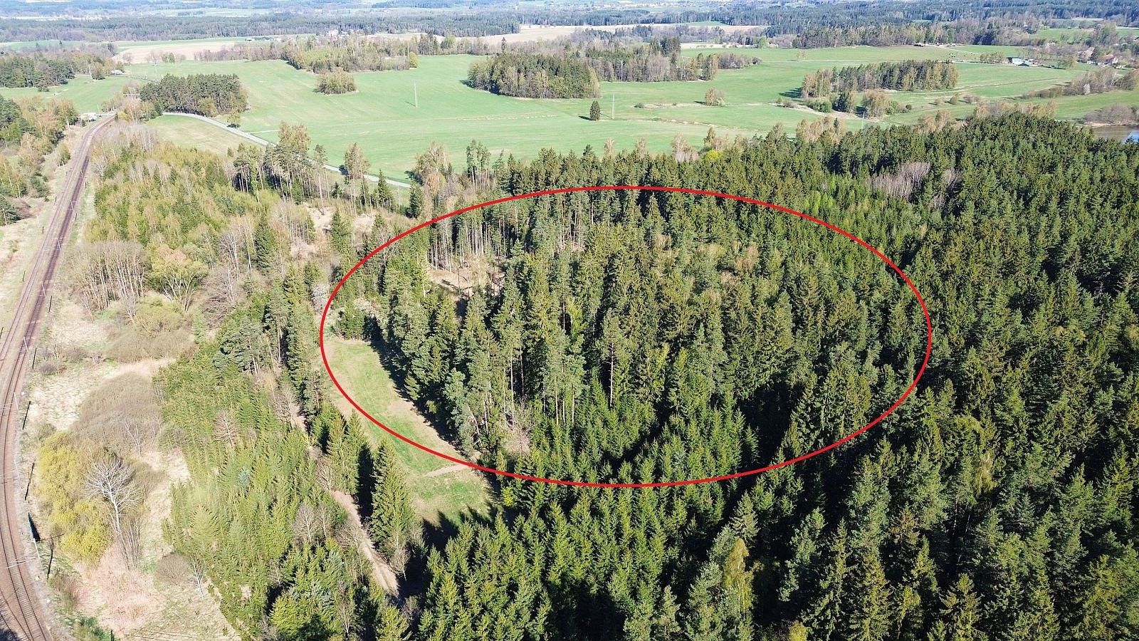 Lesy, Bednáreček, okres Jindřichův Hradec - 2