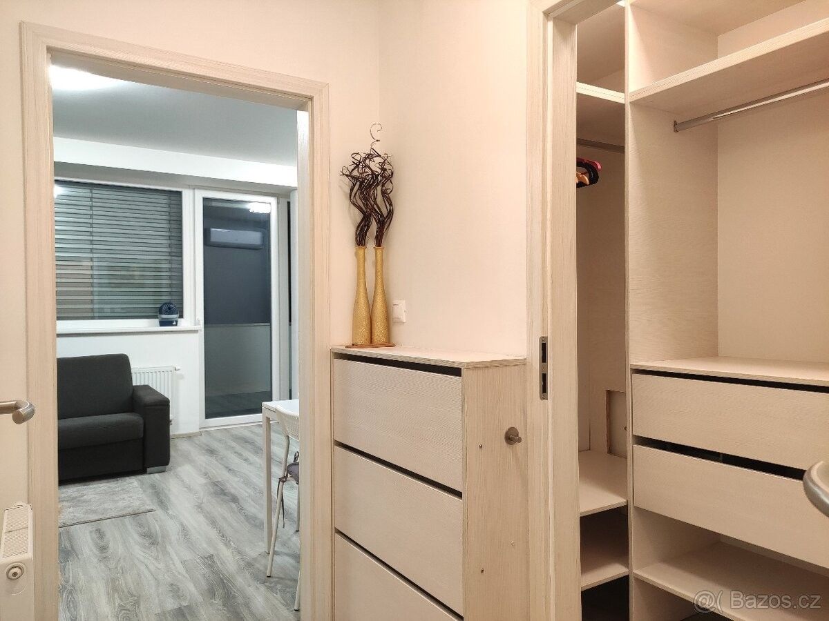 Pronájem byt - Brno, 602 00