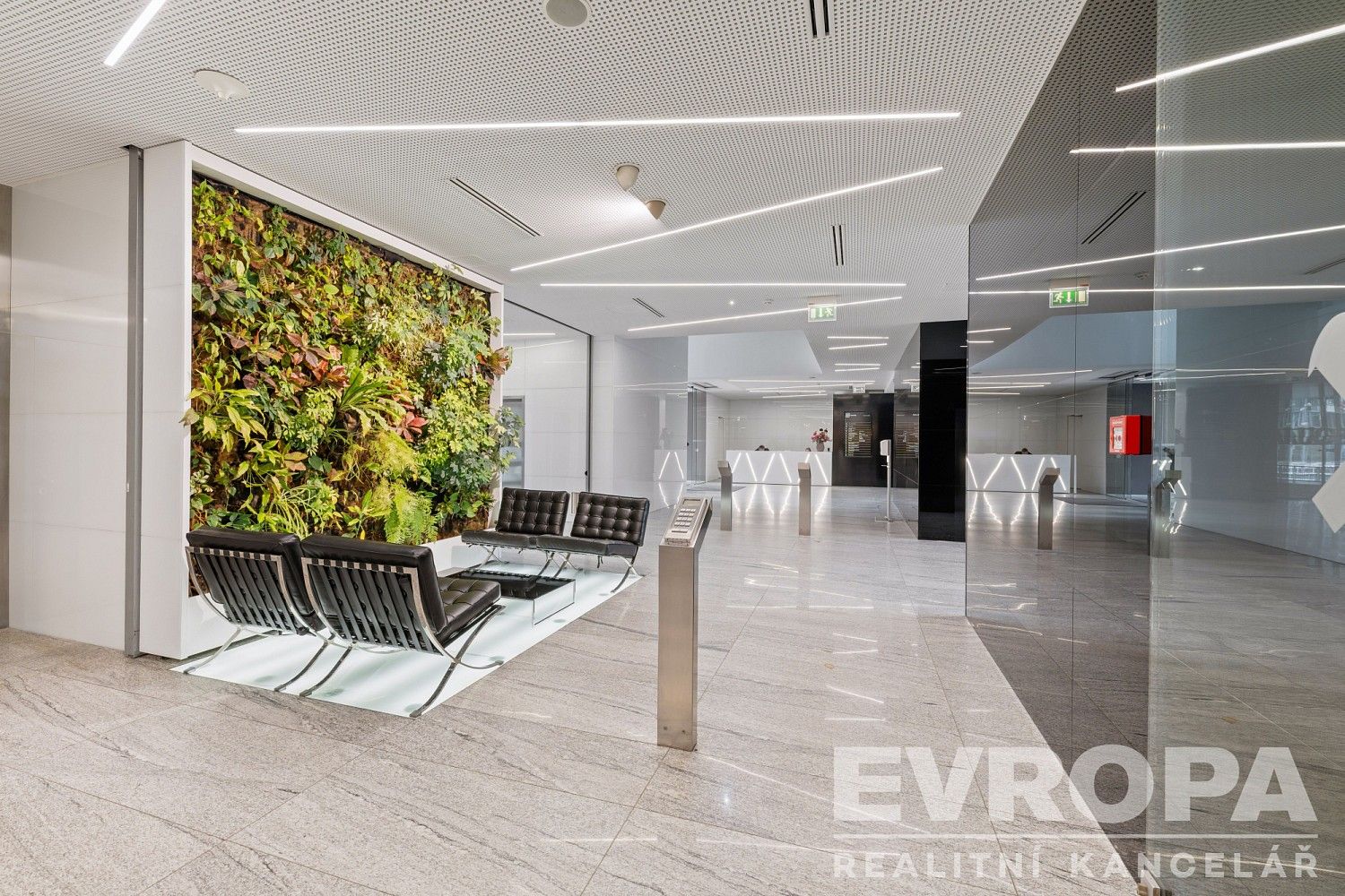 Kanceláře, Praha - Krč, okres Praha 4, Hlavní město Praha, 733 m² - 2