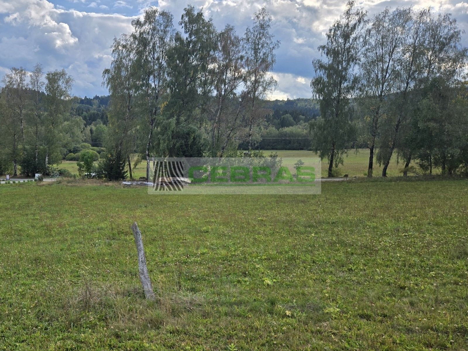 Prodej pozemek pro bydlení - Přední Výtoň, 1 990 m² - 5