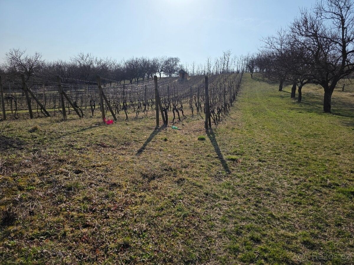 Pozemky pro bydlení, Velké Pavlovice, 691 06