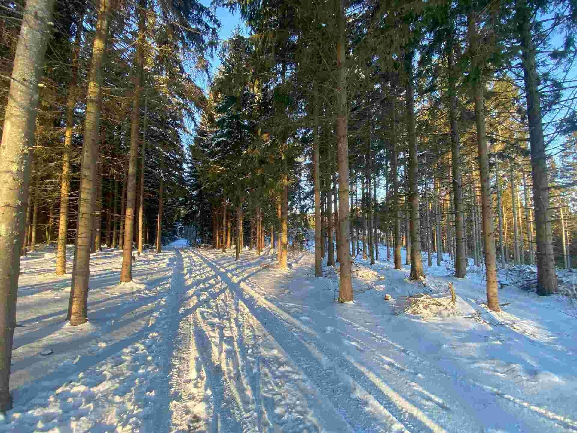 Ostatní, Frýdštejn, 1 m²