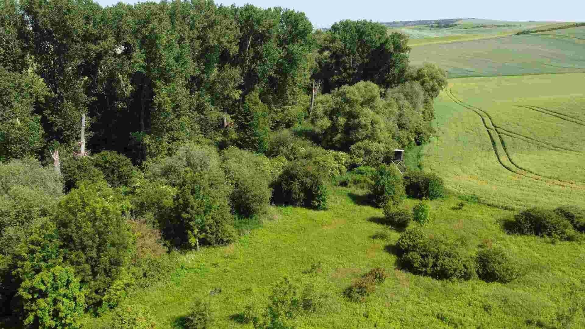 Prodej zemědělský pozemek - Bučovice, 3 m²