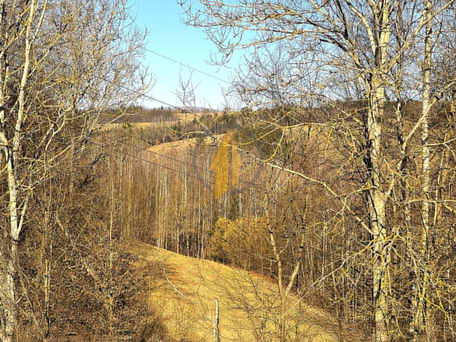 Prodej zahrada - Hostinné, 1 m²