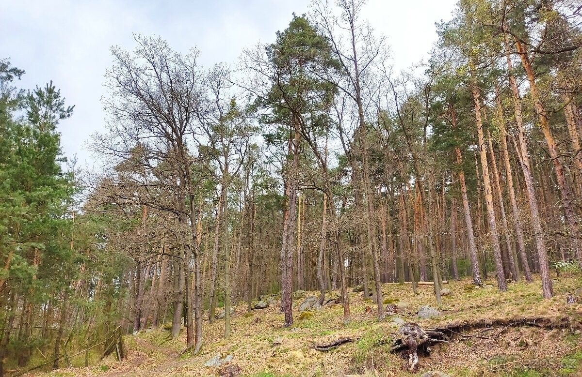 Pozemky pro bydlení, Sedlčany, 264 01