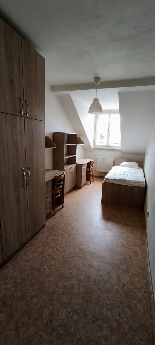 Byt · 300 m² · Lublaňská, Praha - Vinohrady - 4
