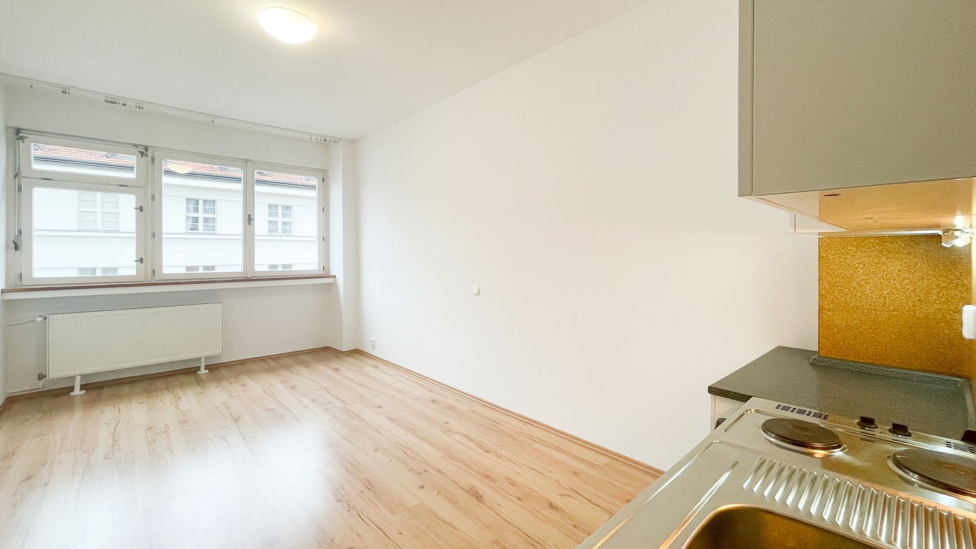 1+kk, Římská, Praha, 25 m² - 1