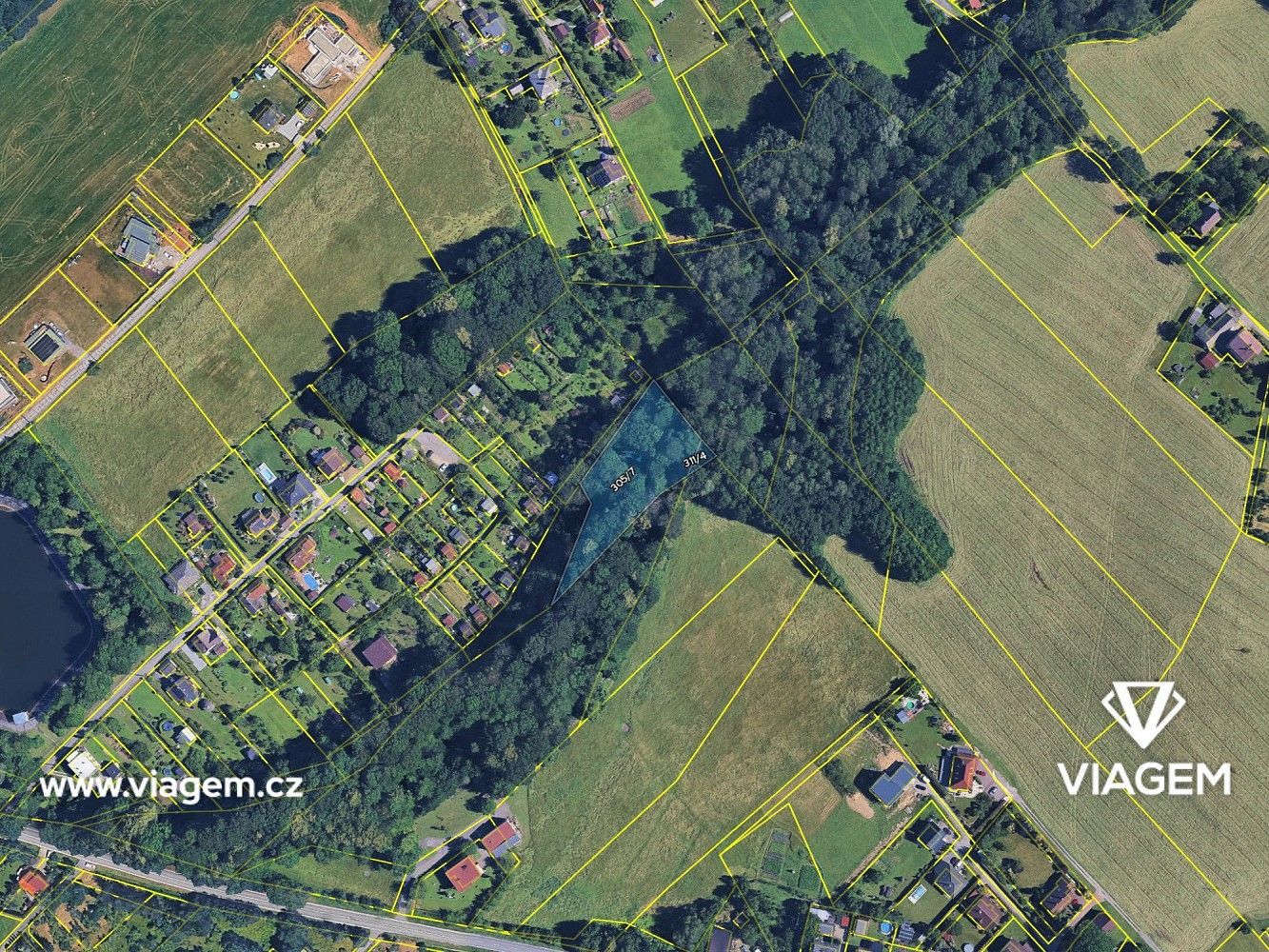 Les · Český Těšín, okres Karviná, Moravskoslezský kraj - 4
