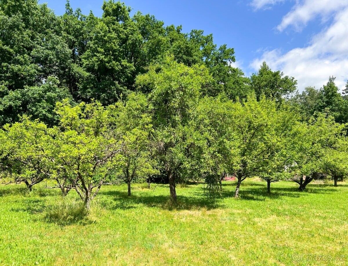 Zahrady, Strakonice, 386 01 - 2