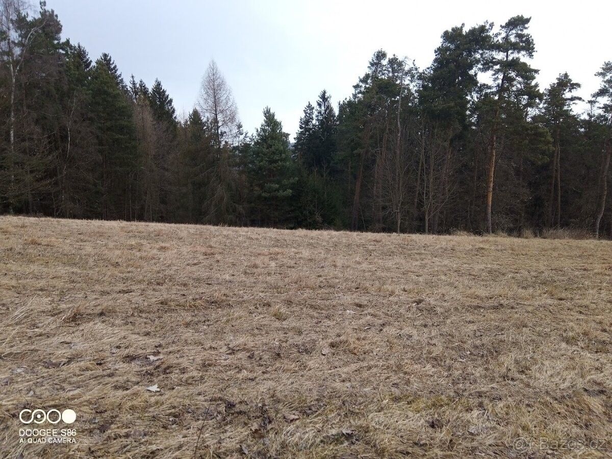 Lesy, Neveklov, 257 56