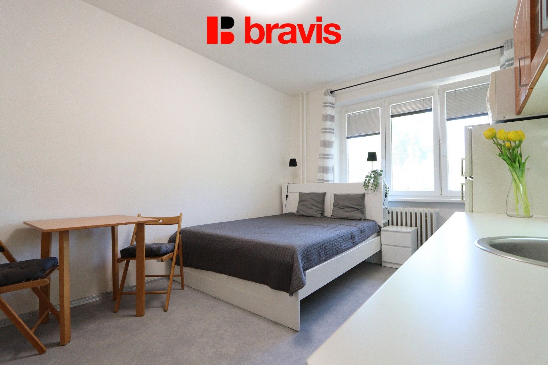 Pronájem byt 1+kk - Leitnerova, Brno, 22 m²