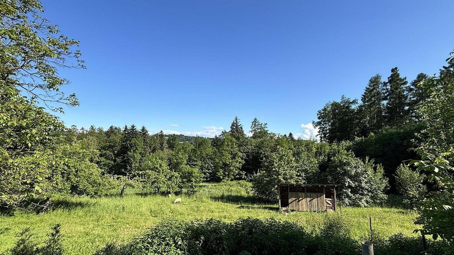Prodej rodinný dům - Třinec - Kojkovice, okres Frýdek-Místek, 150 m² - 5