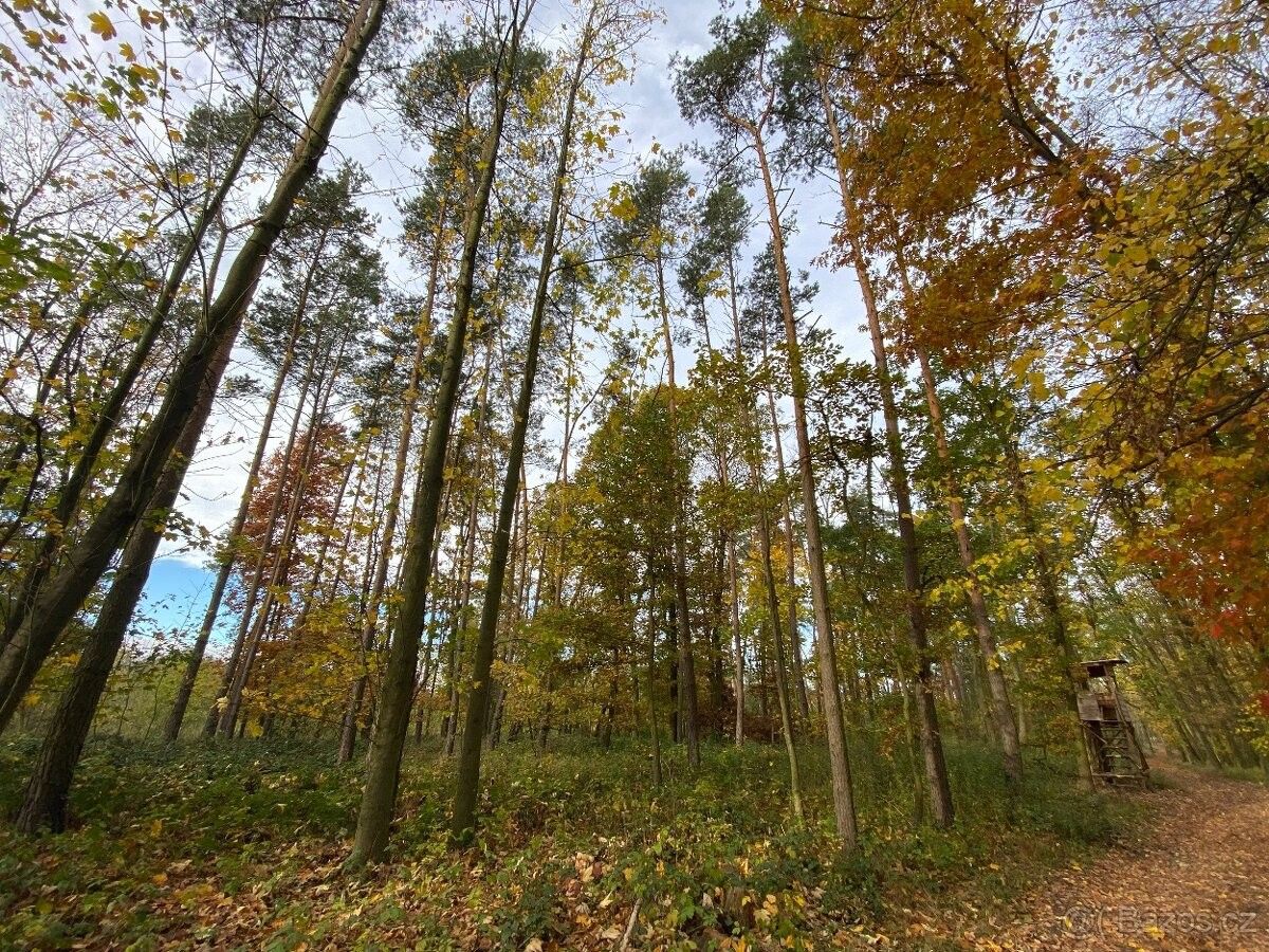 Lesy, Kropáčova Vrutice, 294 79, 16 599 m²