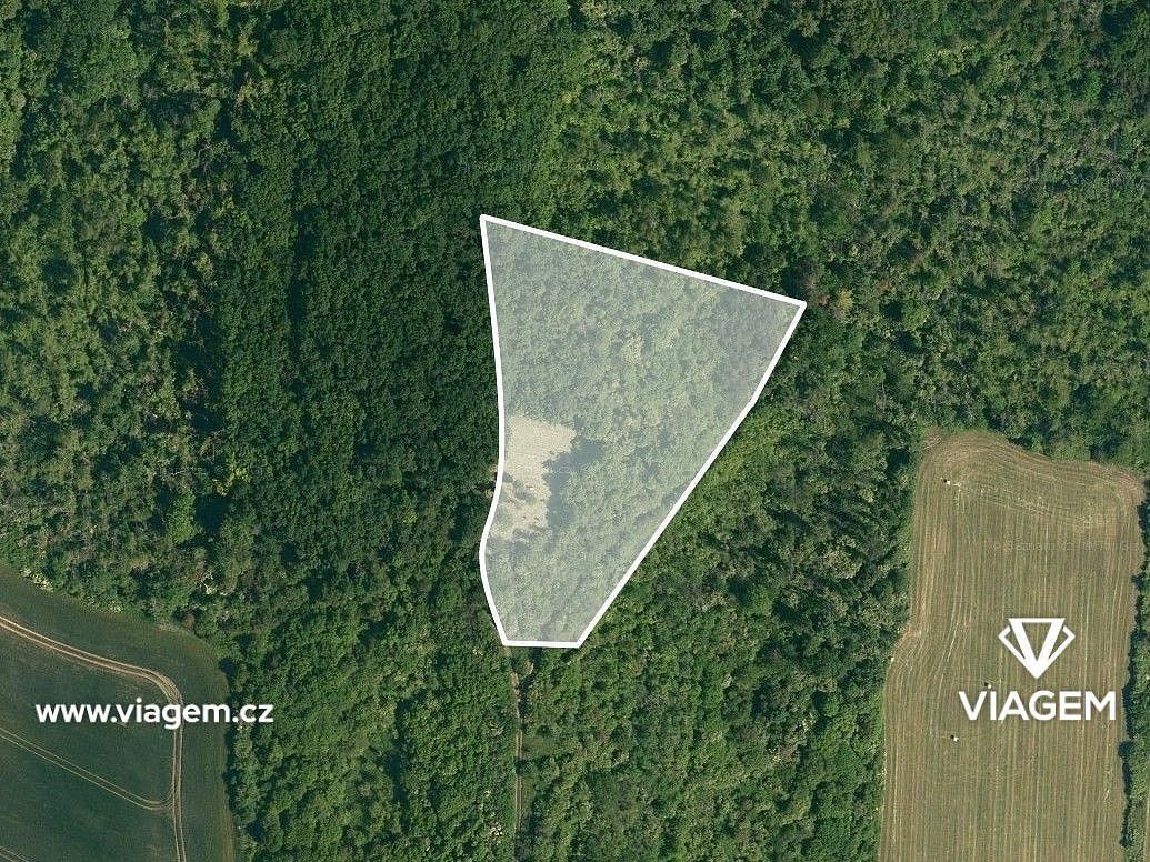 Prodej les - Dobrovice, okres Mladá Boleslav, Středočeský kraj - 2