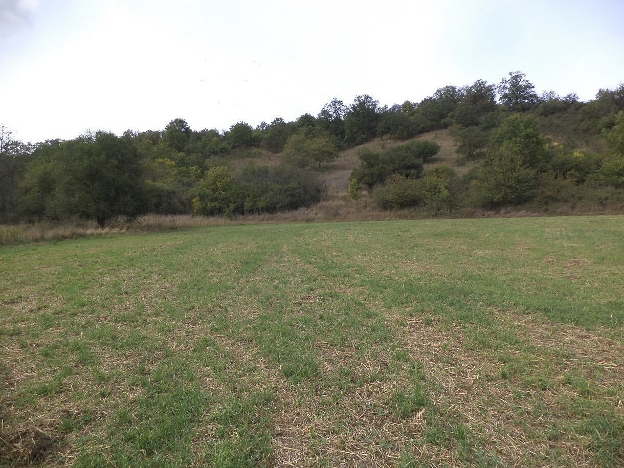 Louka, 22 441 m²