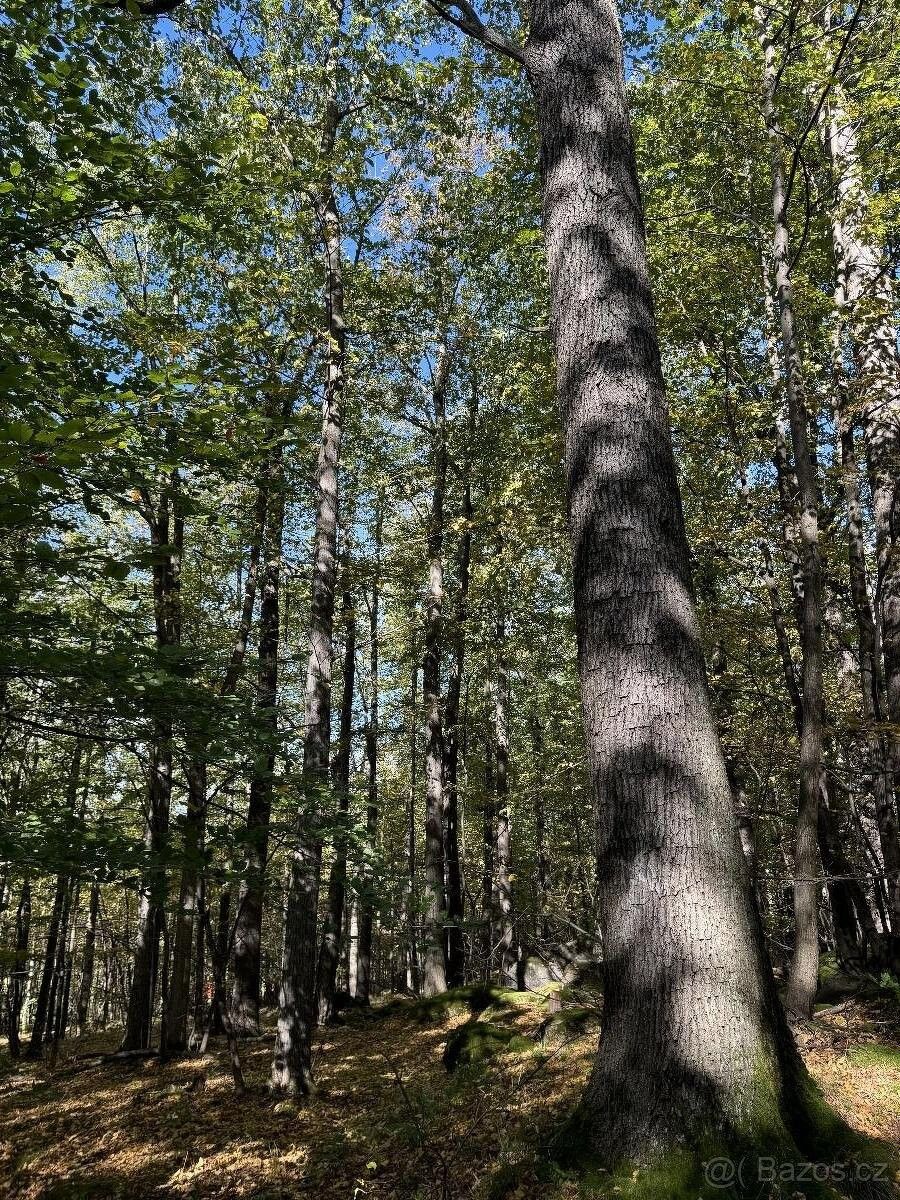 Pozemky pro bydlení, Žulová, 790 65