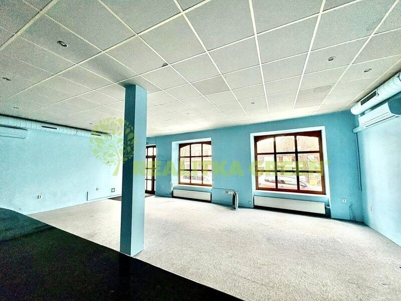 Pronájem restaurace - Topolná, 687 11