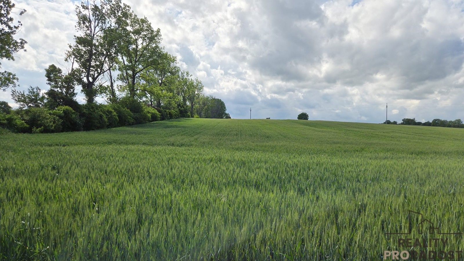 Zemědělský pozemek · 2 649 m² · Kyjov - 3