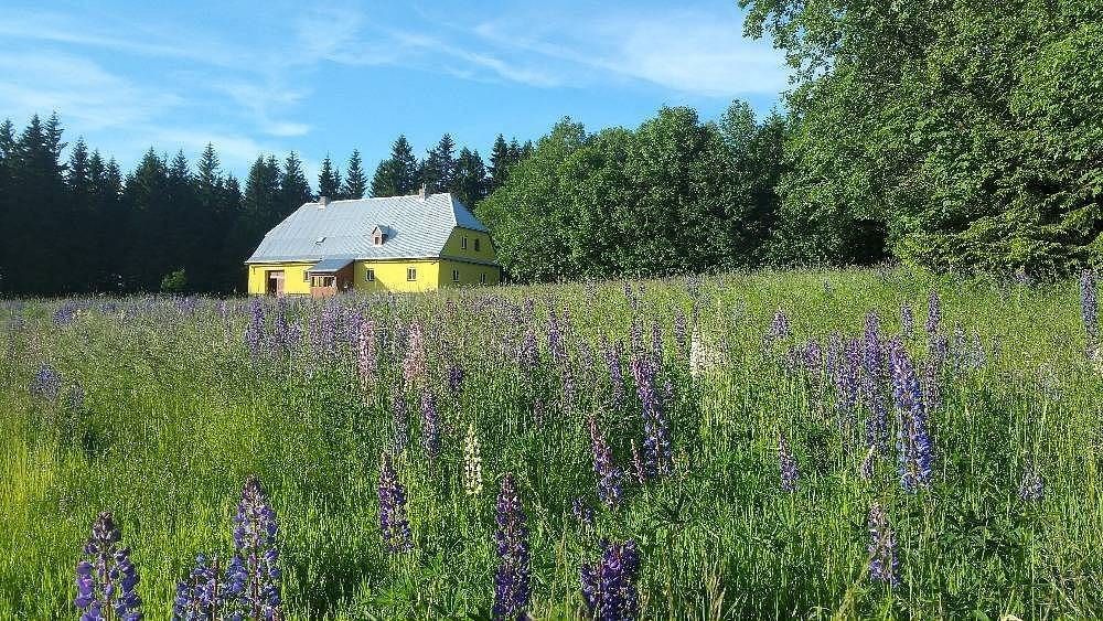 Chaty, Sedloňov, Královéhradecký kraj - 1