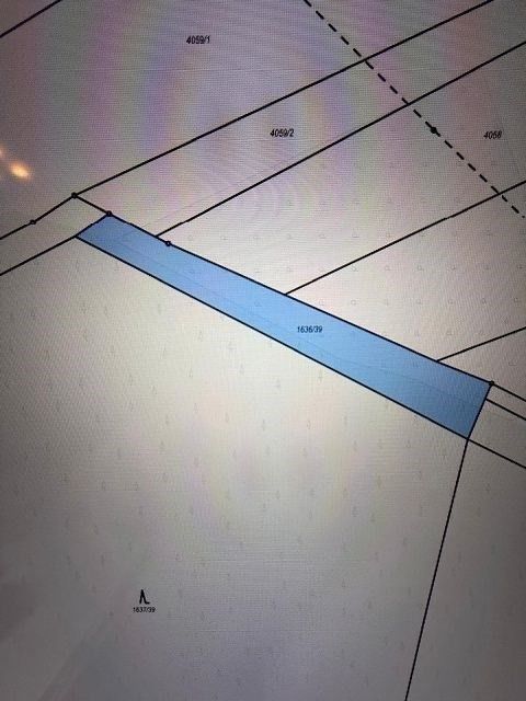 Prodej les - Březolupy