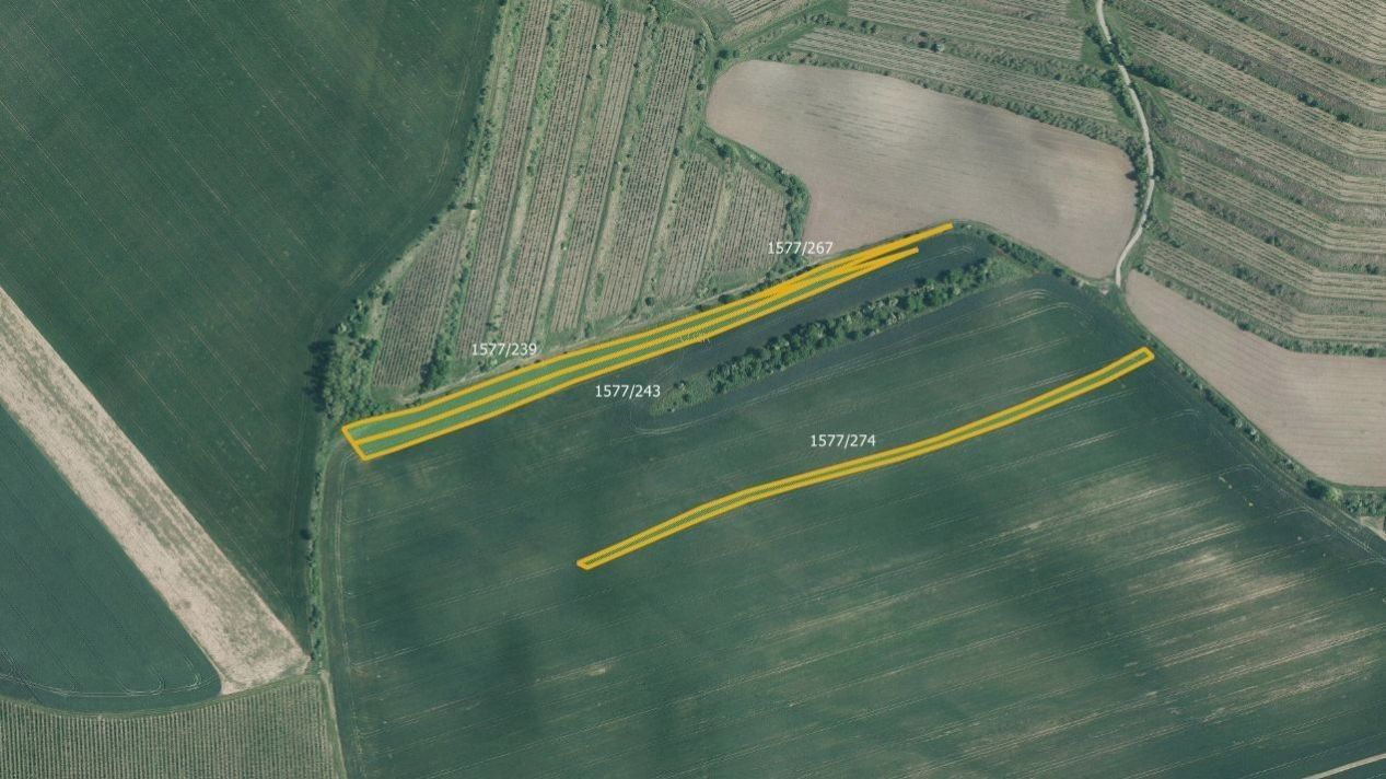 Prodej zemědělský pozemek - Vranovice