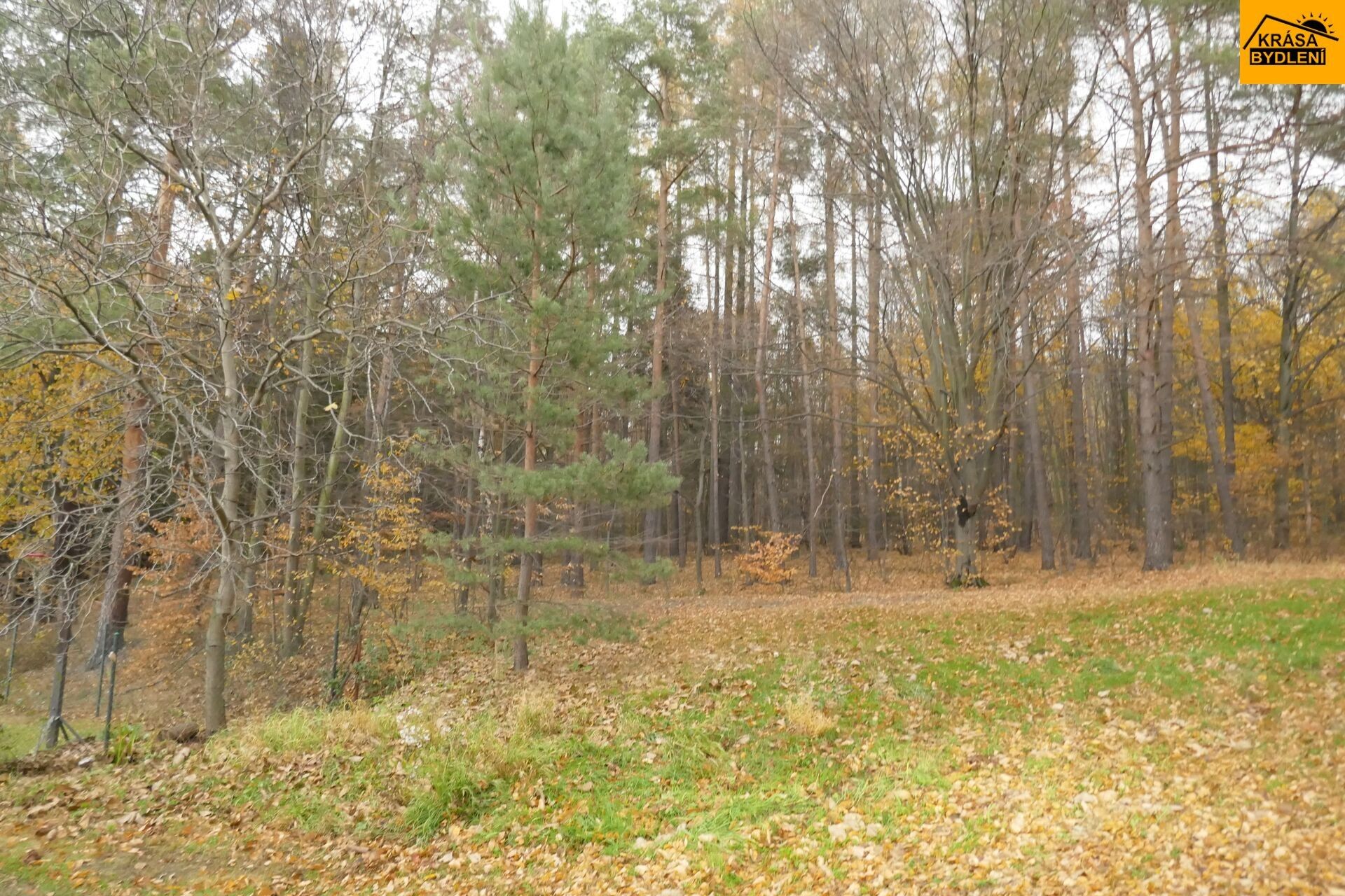 Prodej les - Bělkovice-Lašťany, 5 241 m²