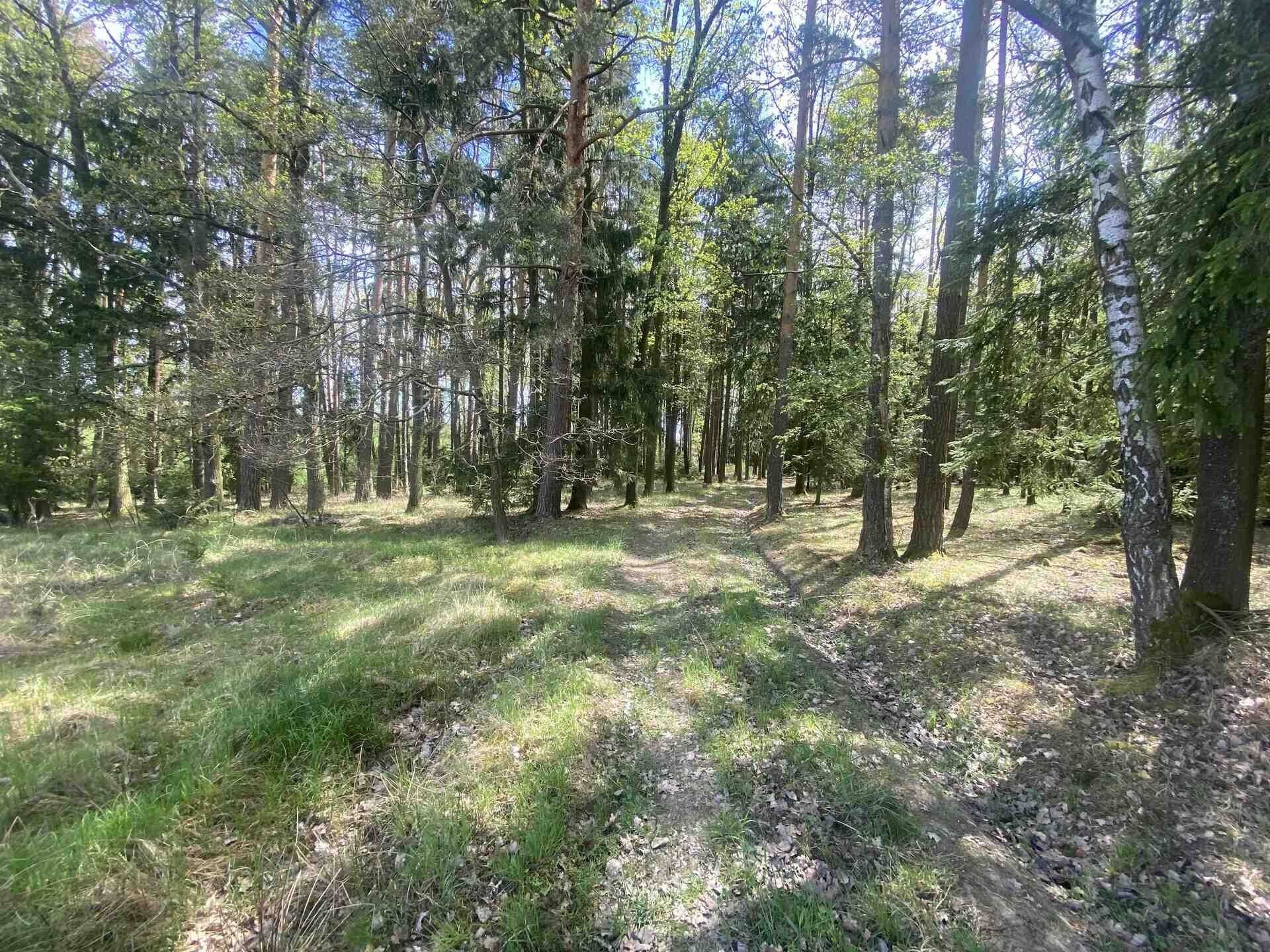 Zemědělský pozemek · 5 875 m² · Malovice - 4