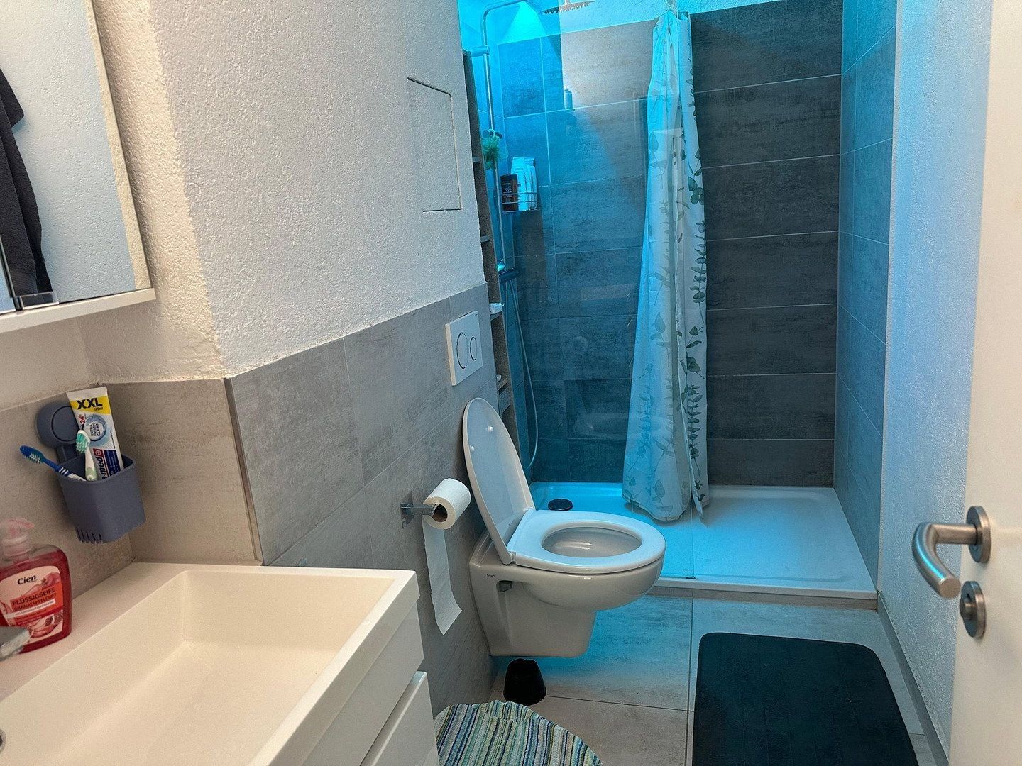 3+kk, , Bádensko-Württembersko, 81 m² - 2