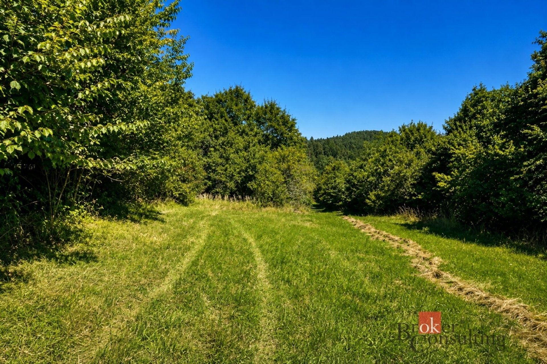 Louka · 3 075 m² · Borotín - 3