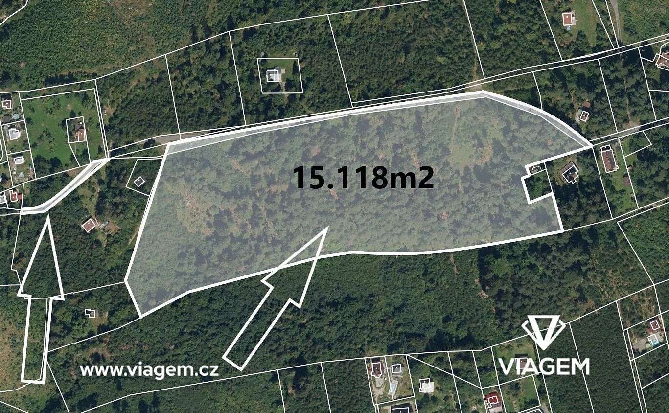 Lesy, Frýdlant nad Ostravicí, okres Frýdek-Místek, Moravskoslezský kraj