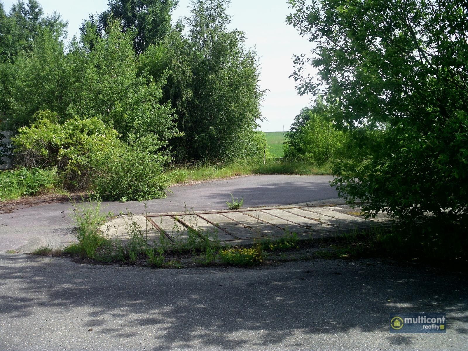 Komerční pozemek · 16 208 m² · Vesce, Moravské Budějovice - 4