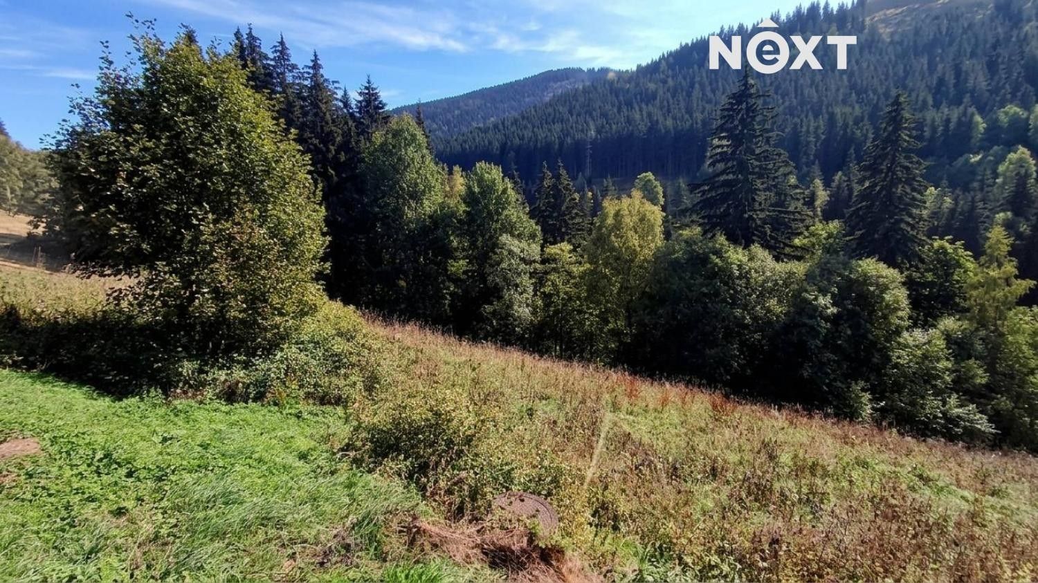 Prodej pozemek pro bydlení - Pec pod Sněžkou - 5