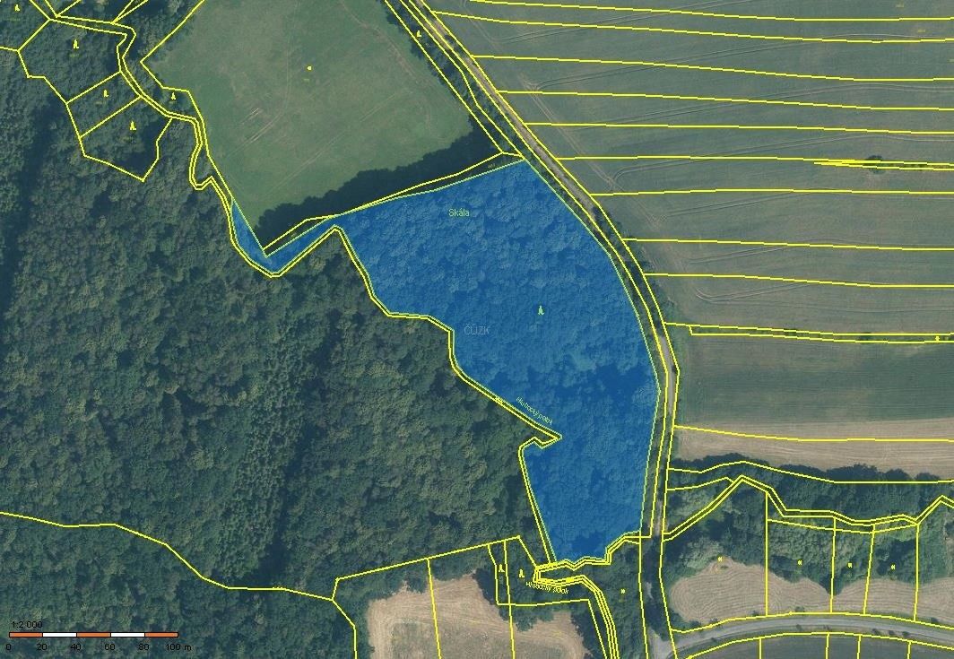 Prodej les - Skalička