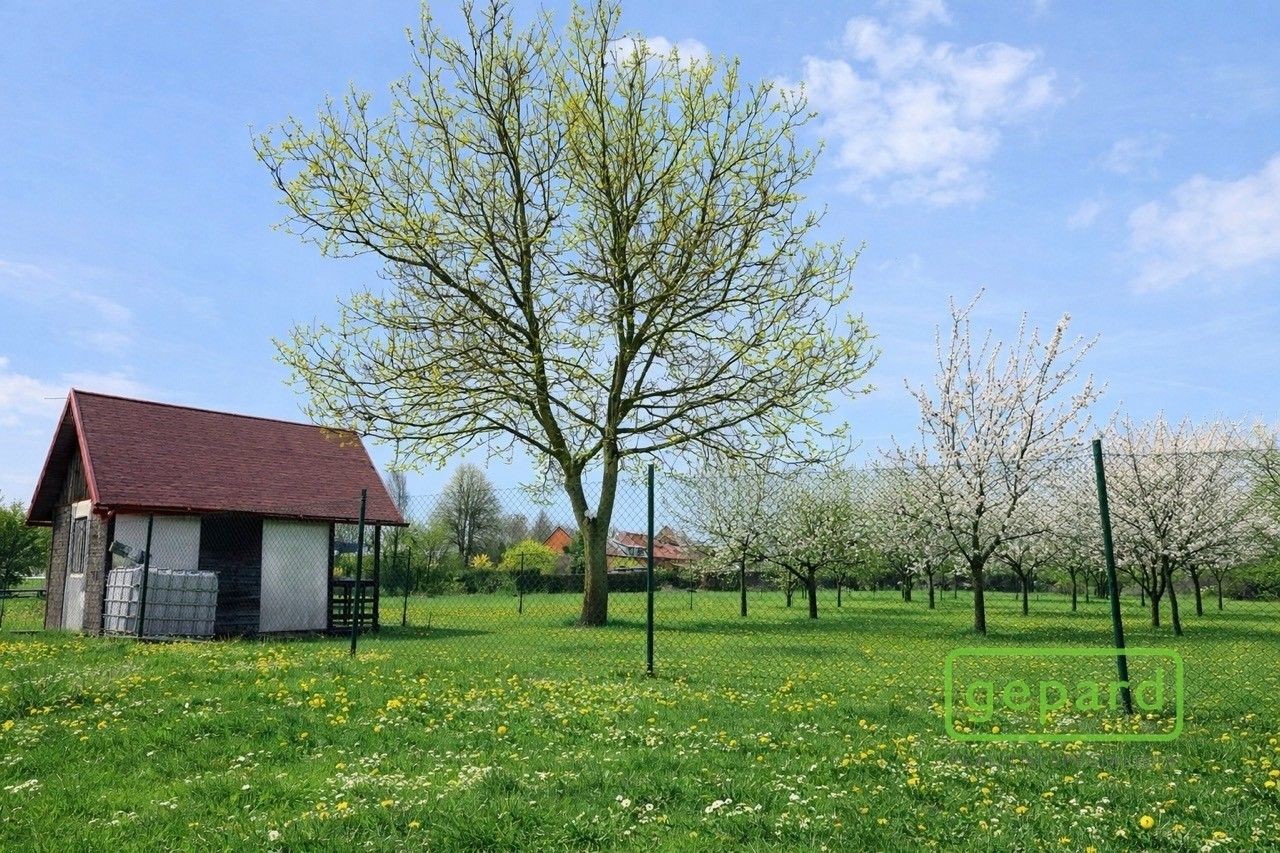 Ostatní, Turovice, 878 m² - 2