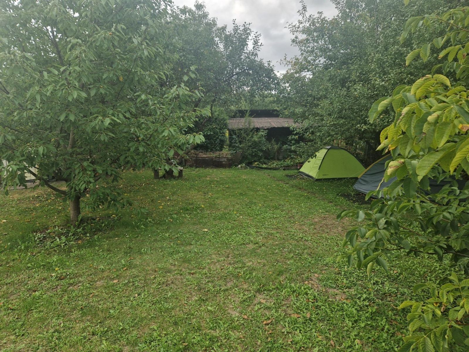 Zahrady, Pardubice - Pardubice, Pardubický kraj - 2