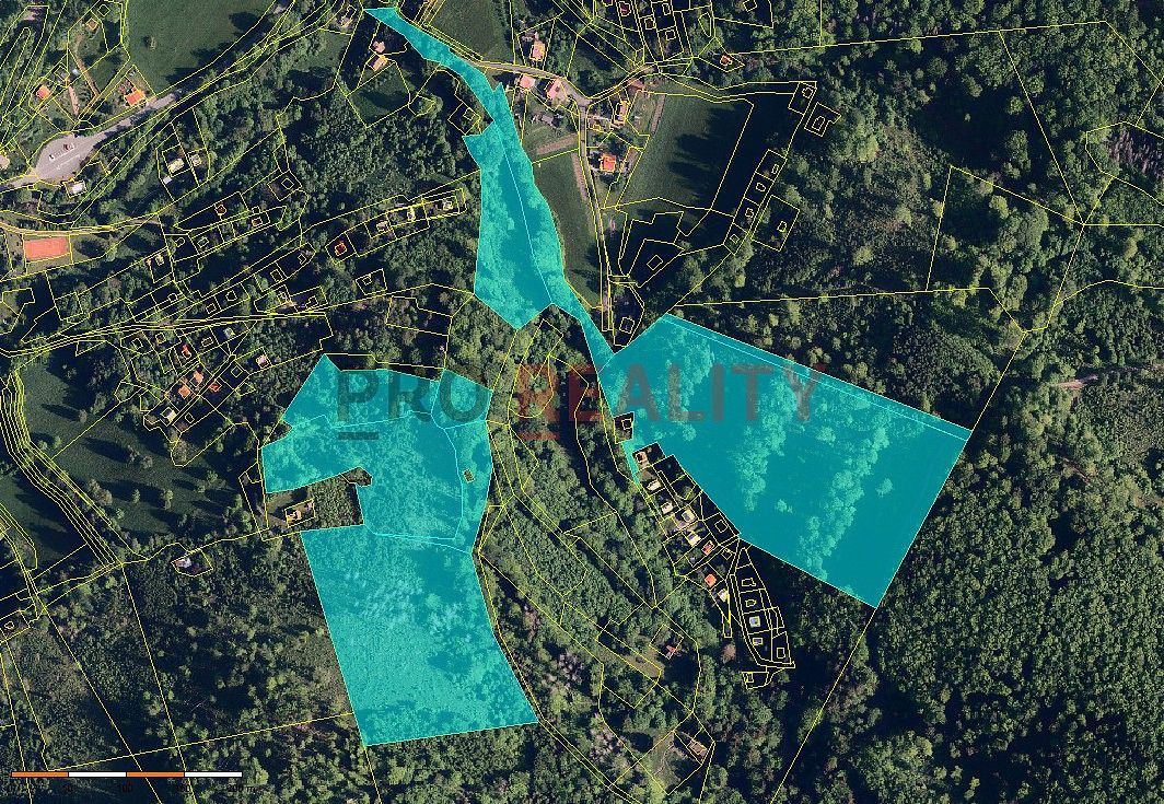 Prodej les - Třinec - Tyra, okres Frýdek-Místek, Moravskoslezský kraj - 1