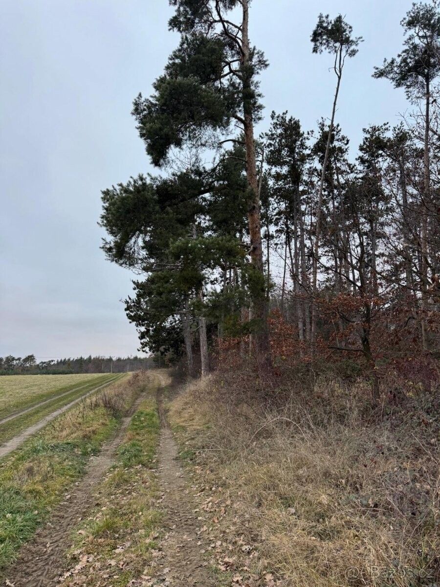 Pozemky pro bydlení, Týnec nad Labem, 281 26