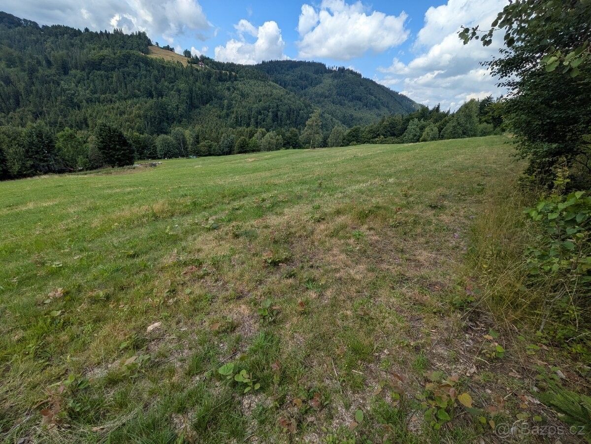 Pozemky pro bydlení, Bystřice nad Olší, 739 95 - 2