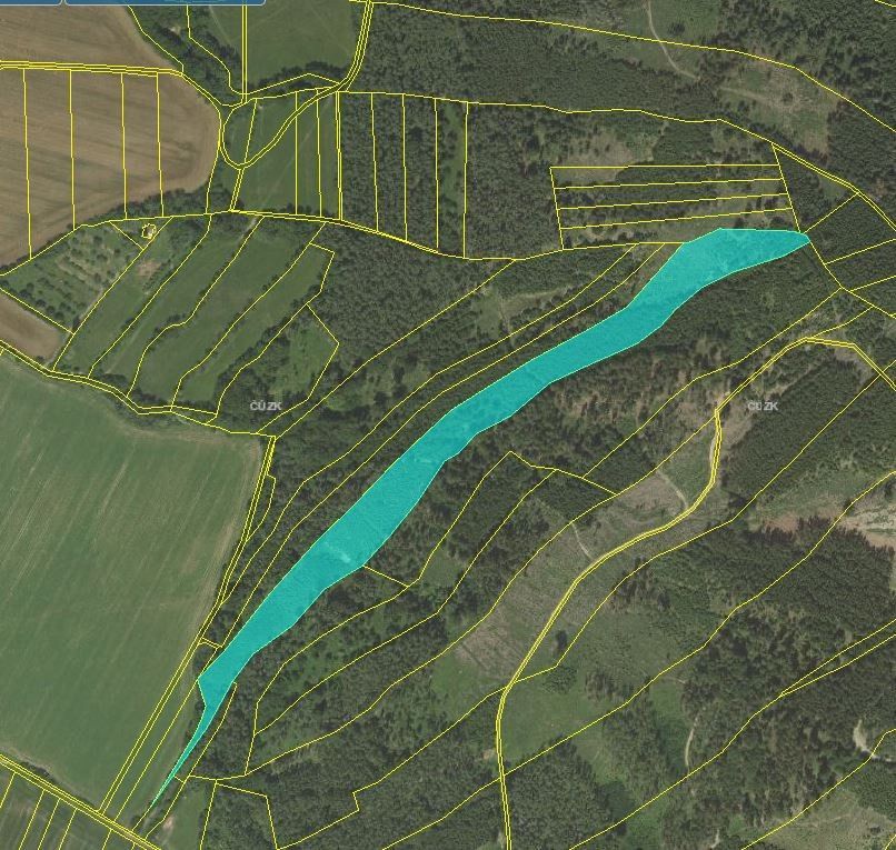 Prodej les - Jevíčko, 569 43, 96 630 m²