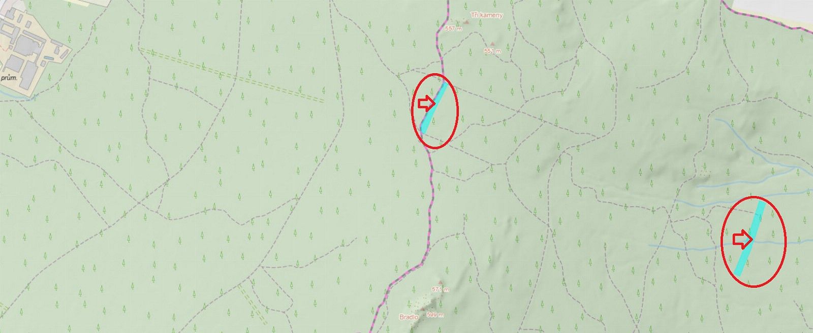 Prodej les - Nýřany, okres Plzeň-sever, Plzeňský kraj - 5
