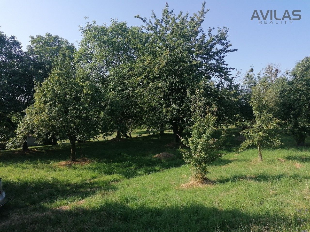 Pozemek pro bydlení · 2 940 m² · Beztahov, Votice - 4