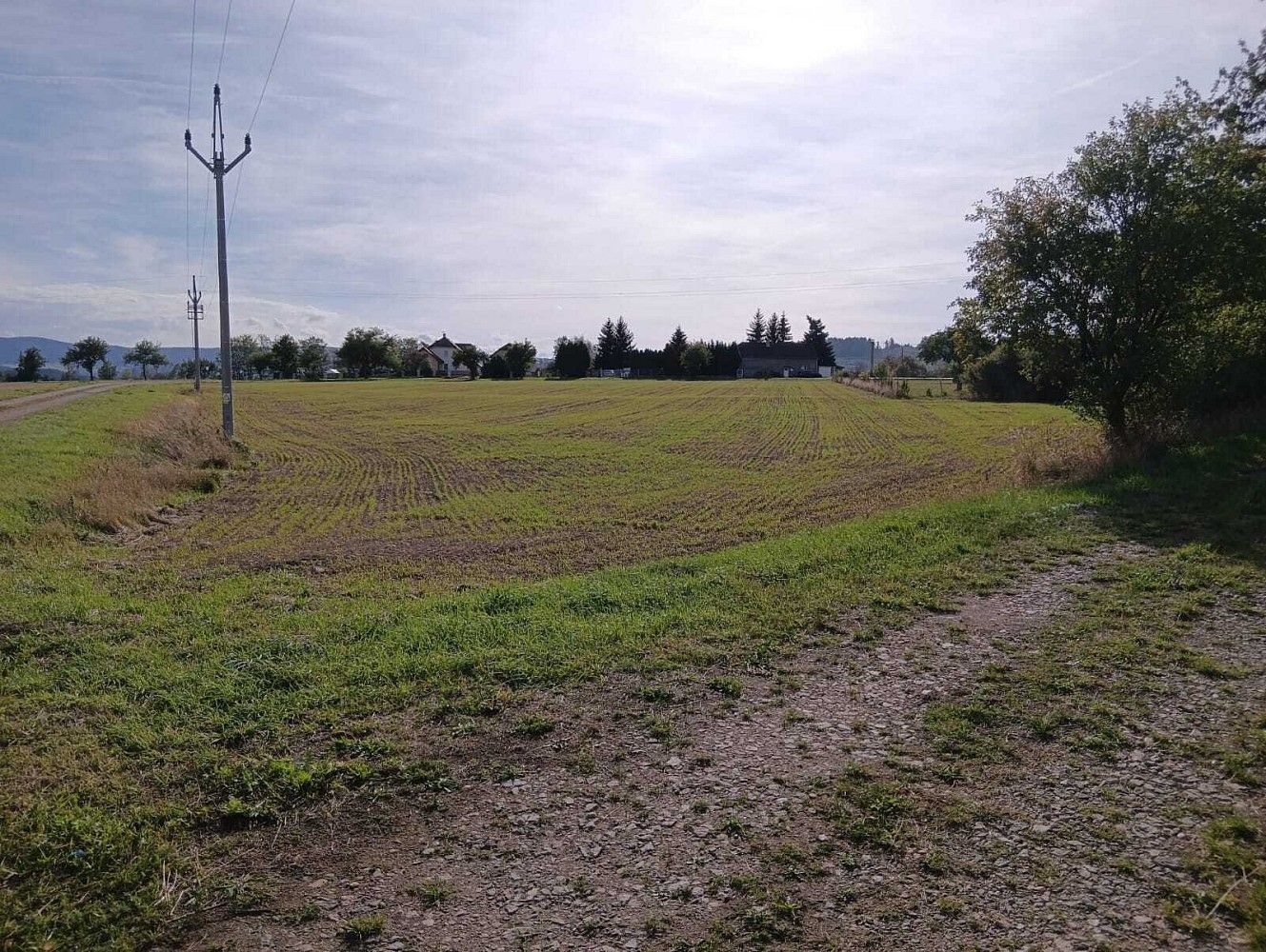 Zemědělský pozemek · Vrbice - 3