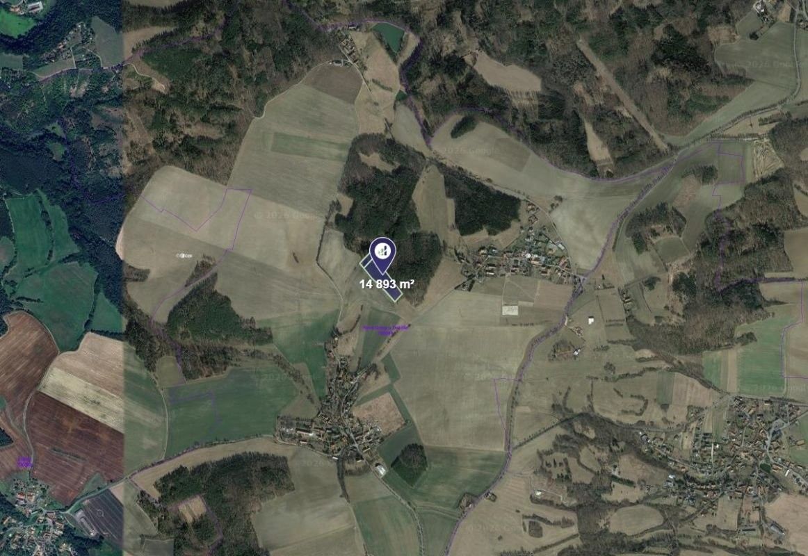 Lesy, Nové Dvory, 3 723 m² - 2